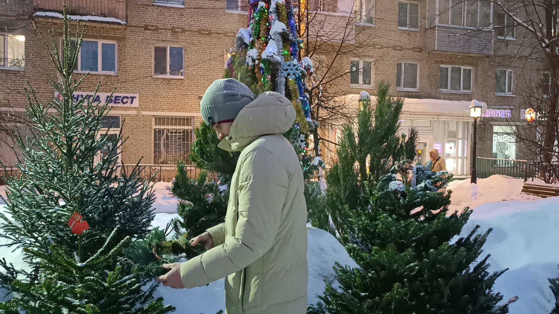 елочный базар, новый год, лобня, вертикалки,