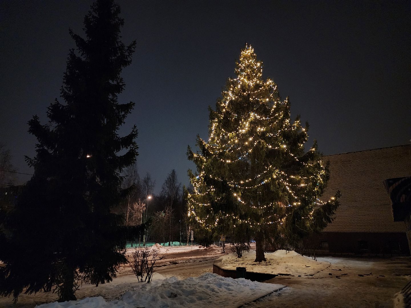 Дубна, Новогодние украшения, Новый год, Праздник, вертикалки,