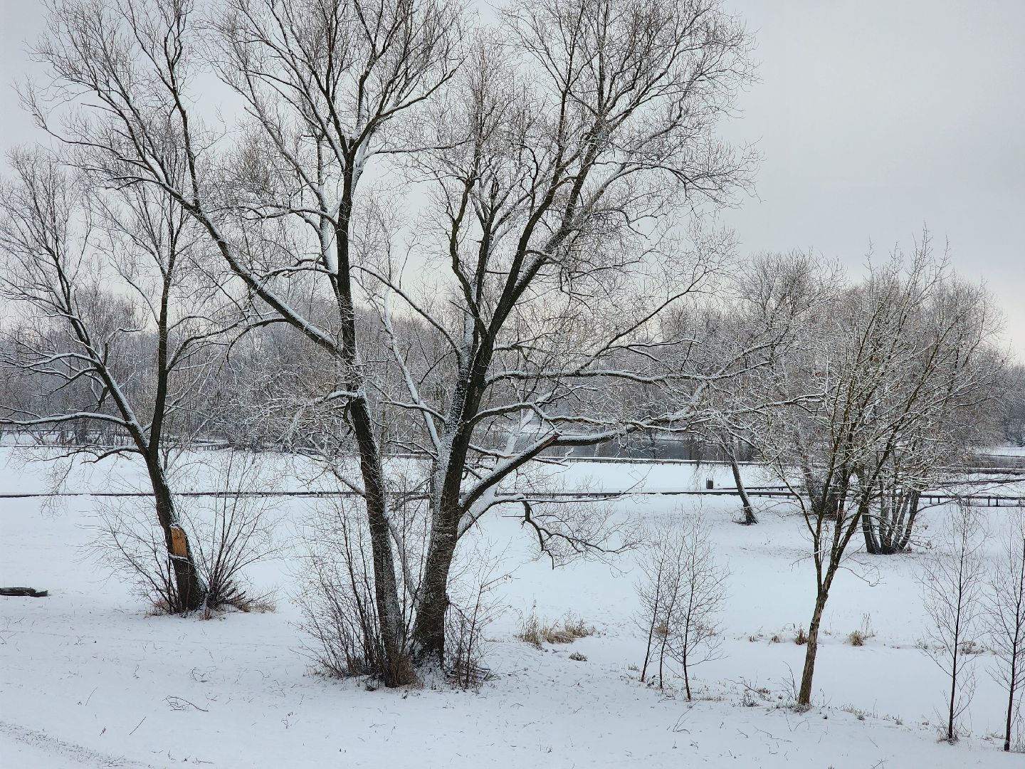 воскресенск, фейерверки, безопасность, новый год,