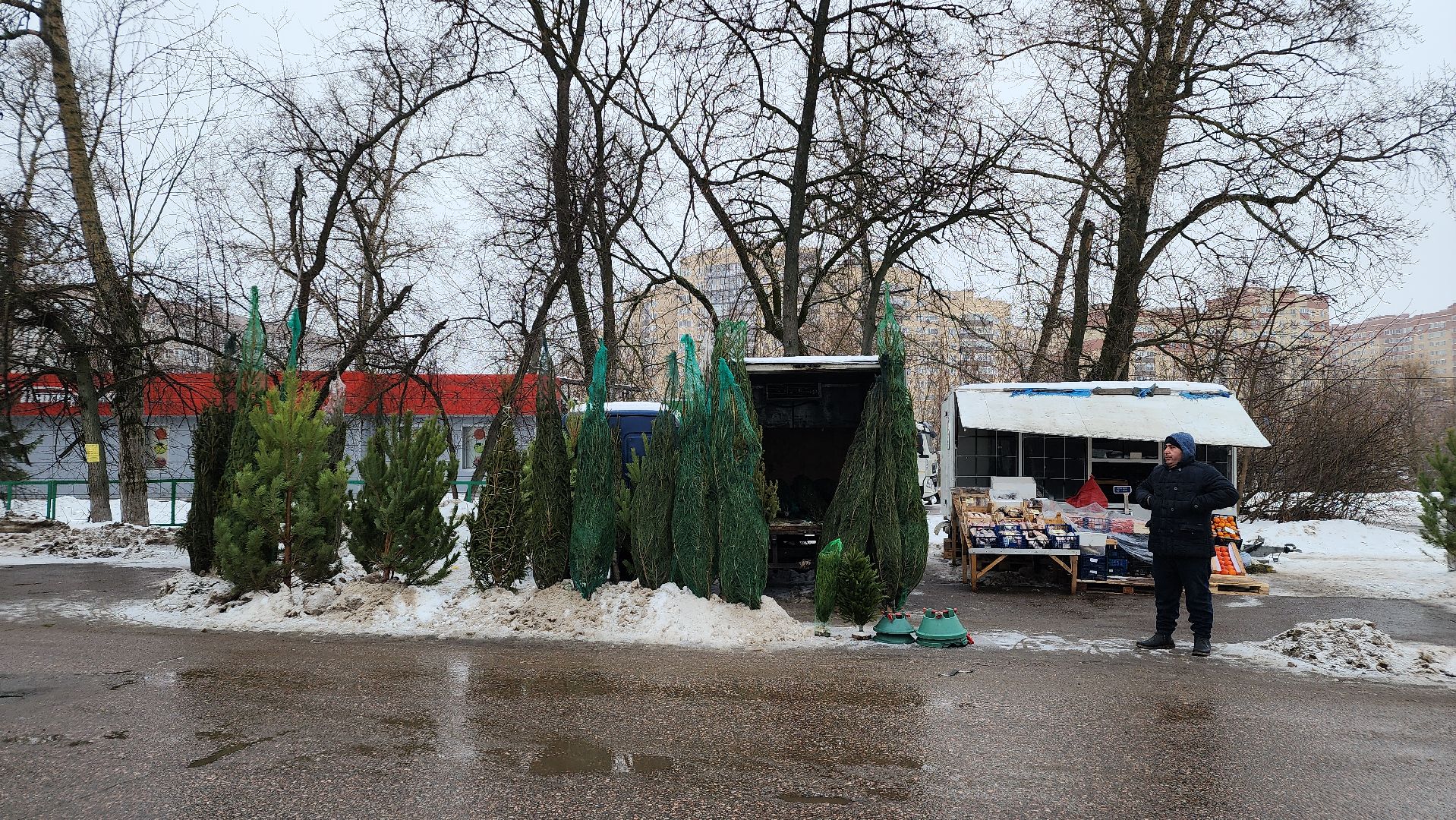 Новый год, новогодняя елка, праздник, Зима в Подмосковье, елочные базары, Лосино-Петровский,