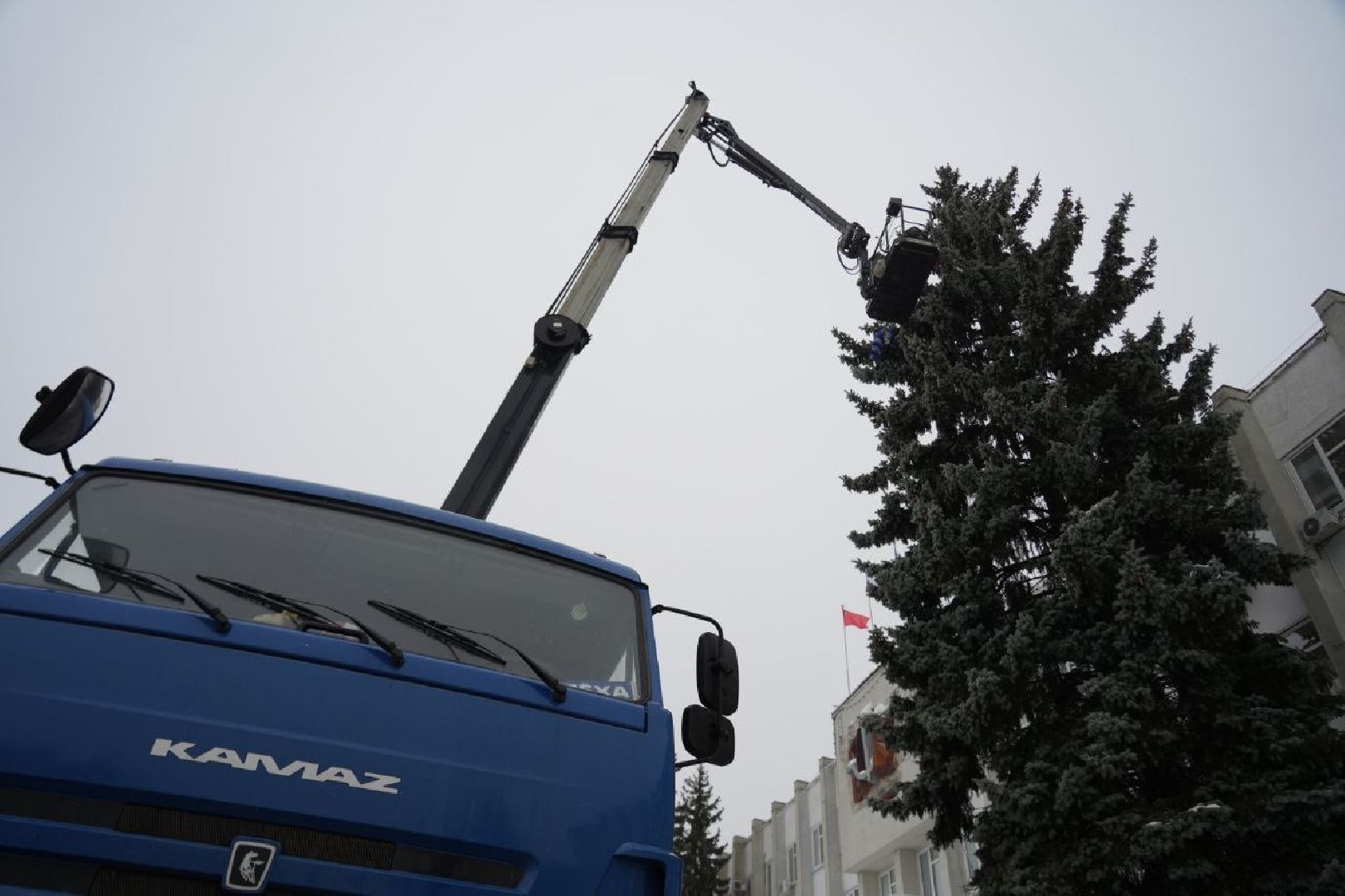 Новый год, Украшения, Дети, Сергиев Посад, Сергиево-Посадский городской округ, вертикалки,