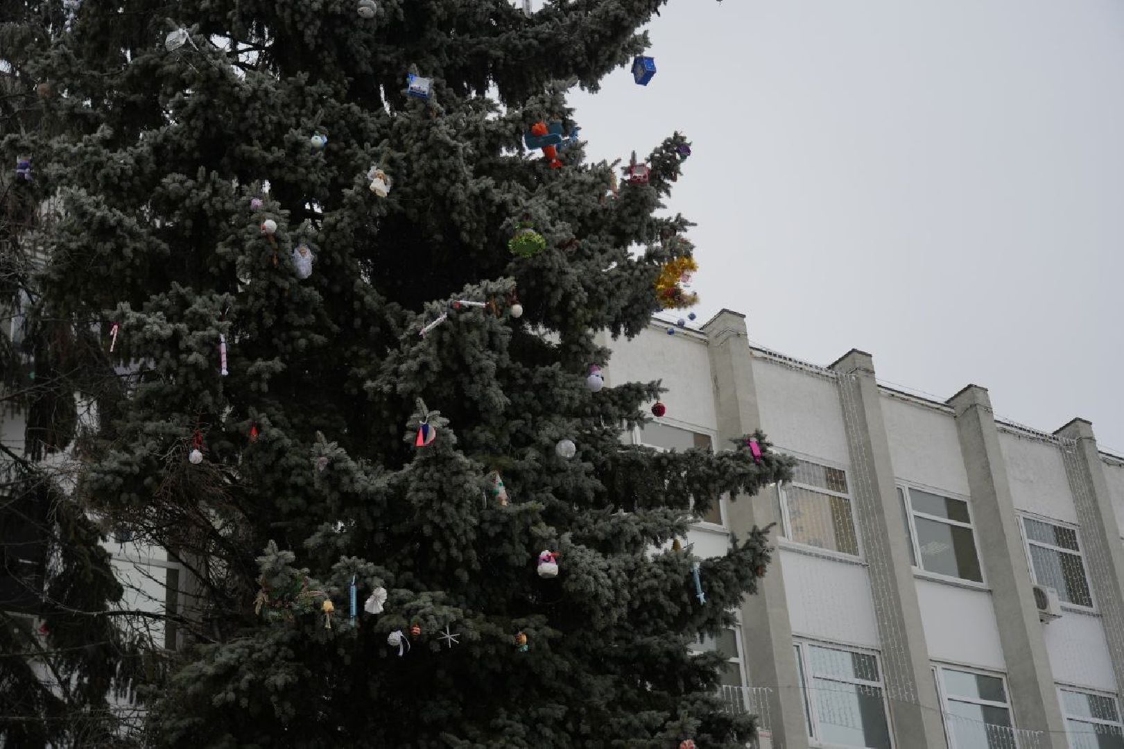 Новый год, Украшения, Дети, Сергиев Посад, Сергиево-Посадский городской округ, вертикалки,