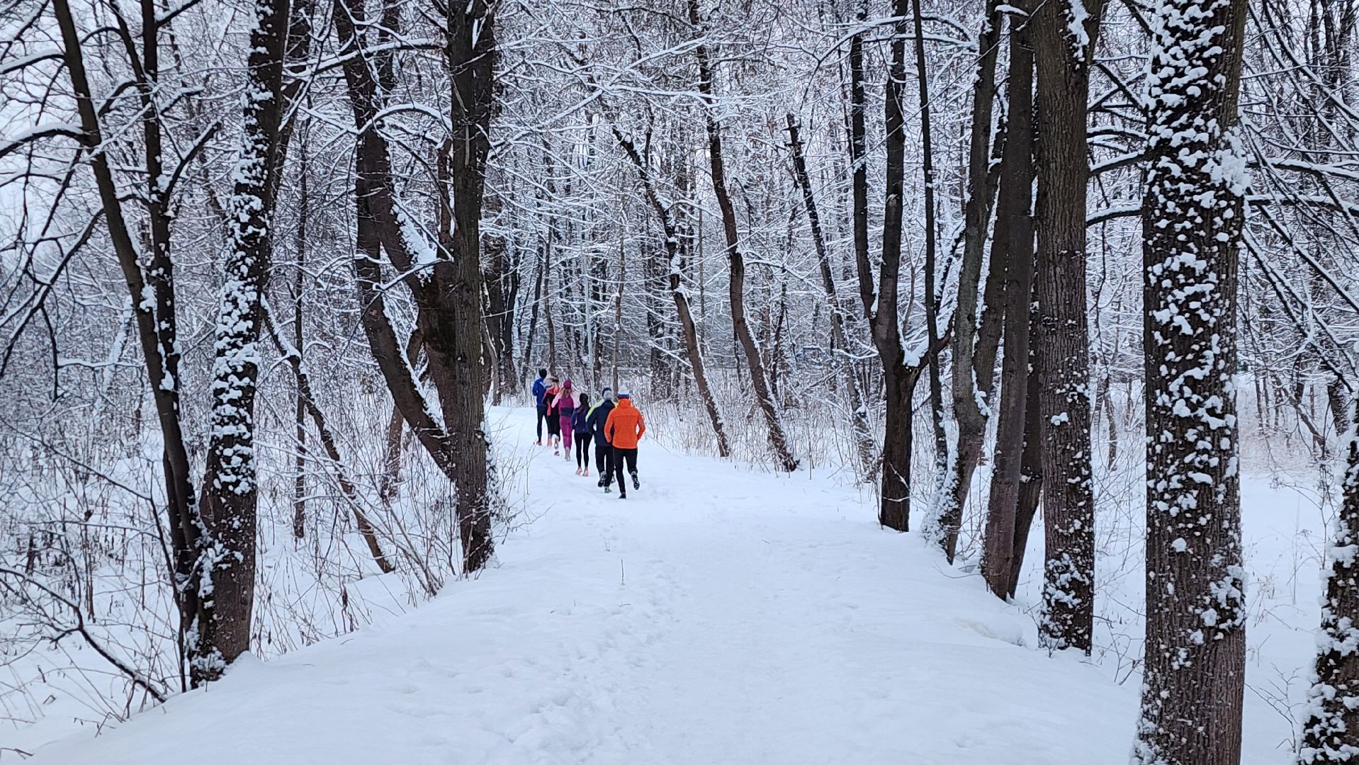 спорт, бег, истра