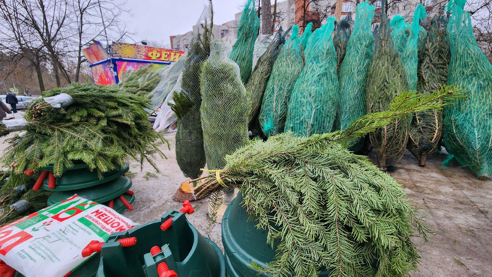 протвино, елочный базар, новый год, елки, г о серпухов,