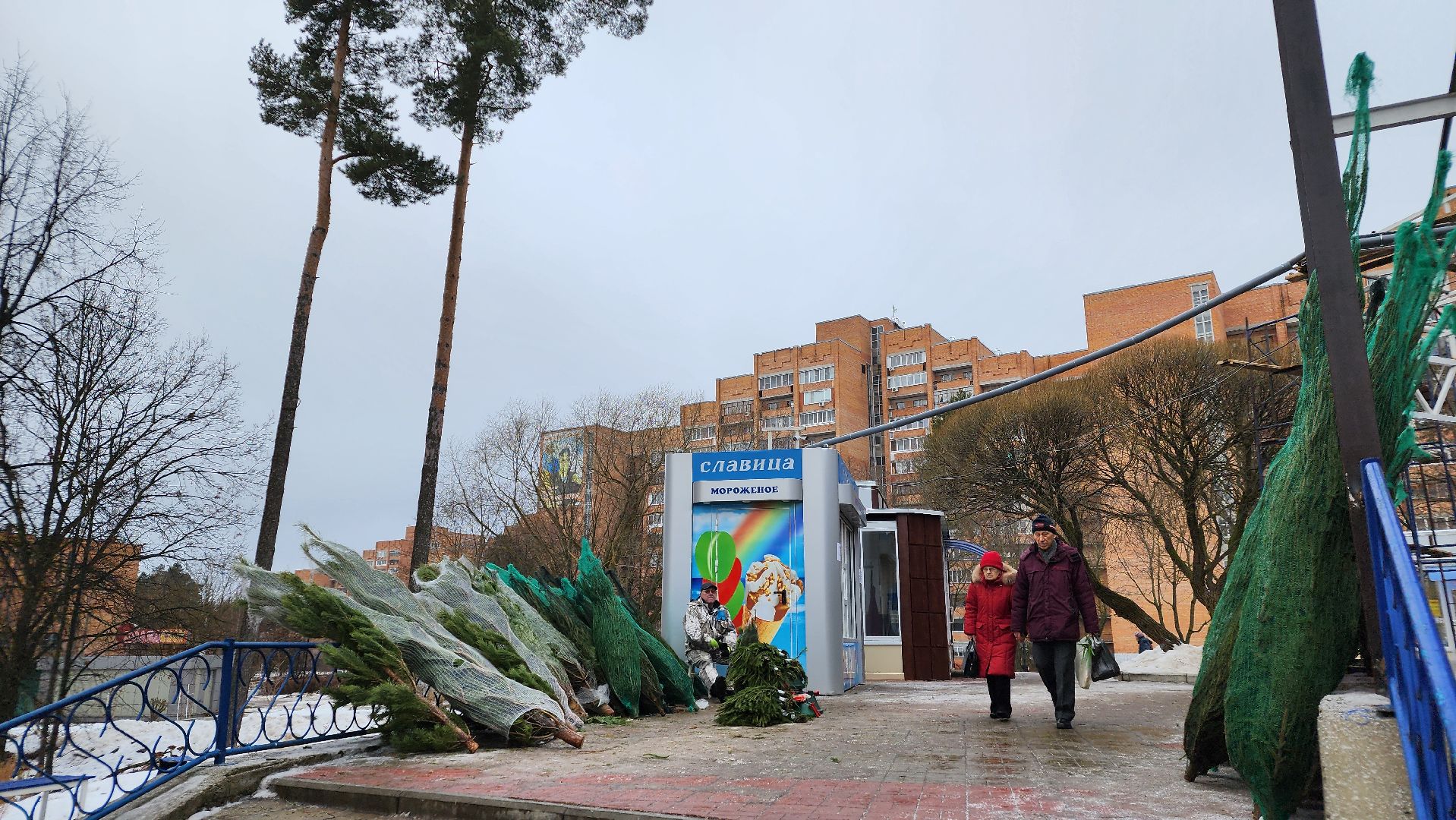 протвино, елочный базар, новый год, елки, г о серпухов,