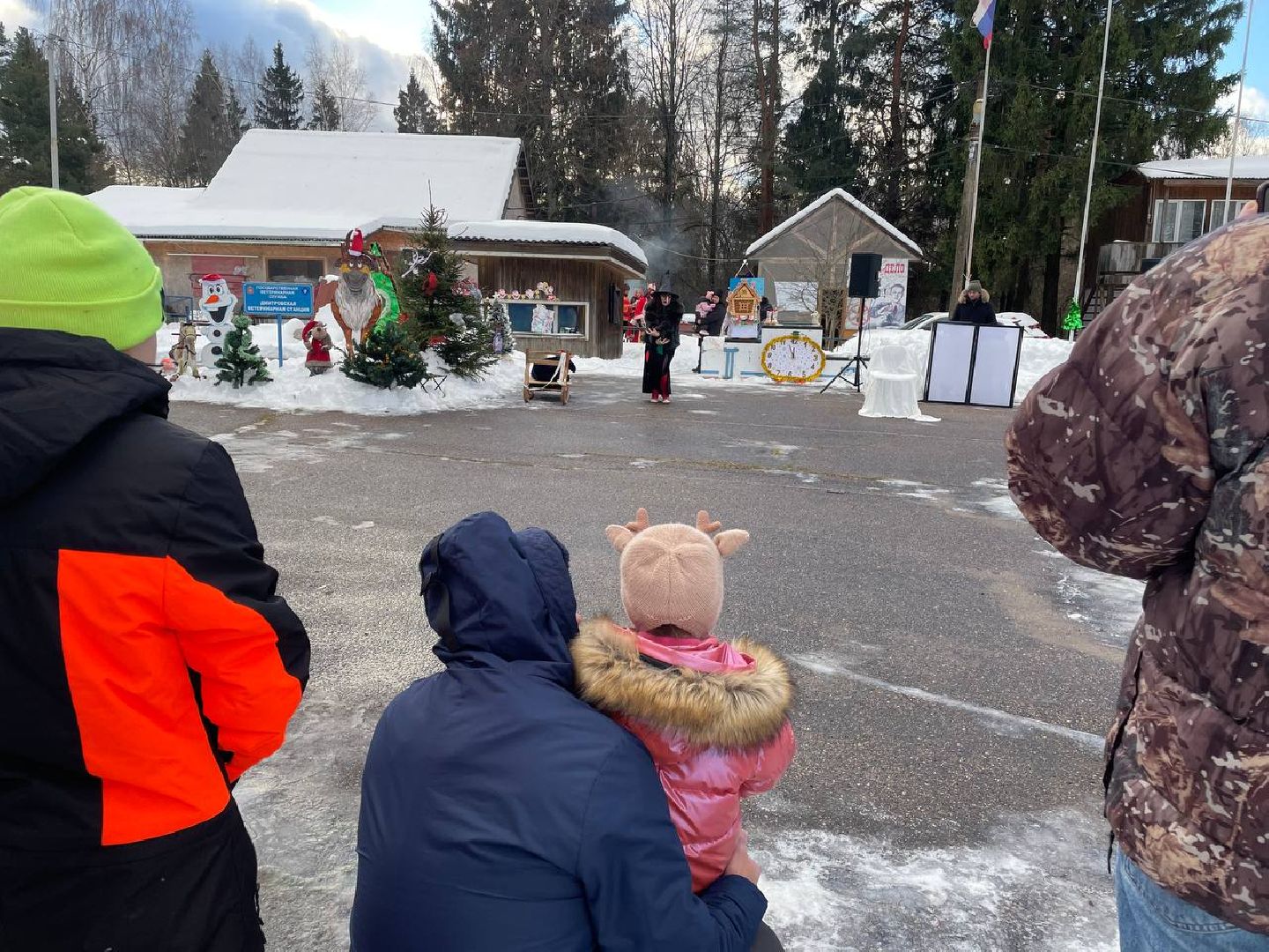 Дмитров, Госветстанция, Минсельхоз, вертикали