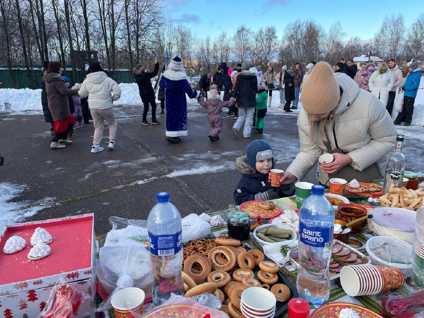 Дмитров, Госветстанция, Минсельхоз, вертикали