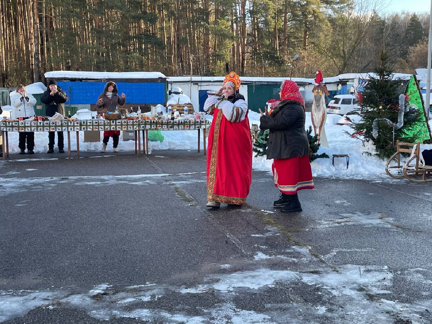 Дмитров, Госветстанция, Минсельхоз, вертикали