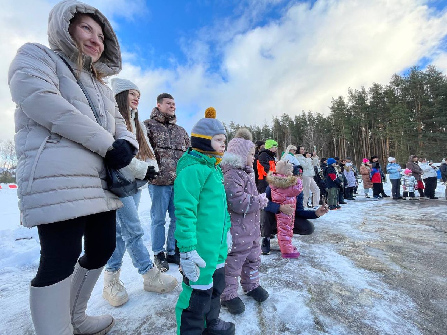 Дмитров, Госветстанция, Минсельхоз, вертикали
