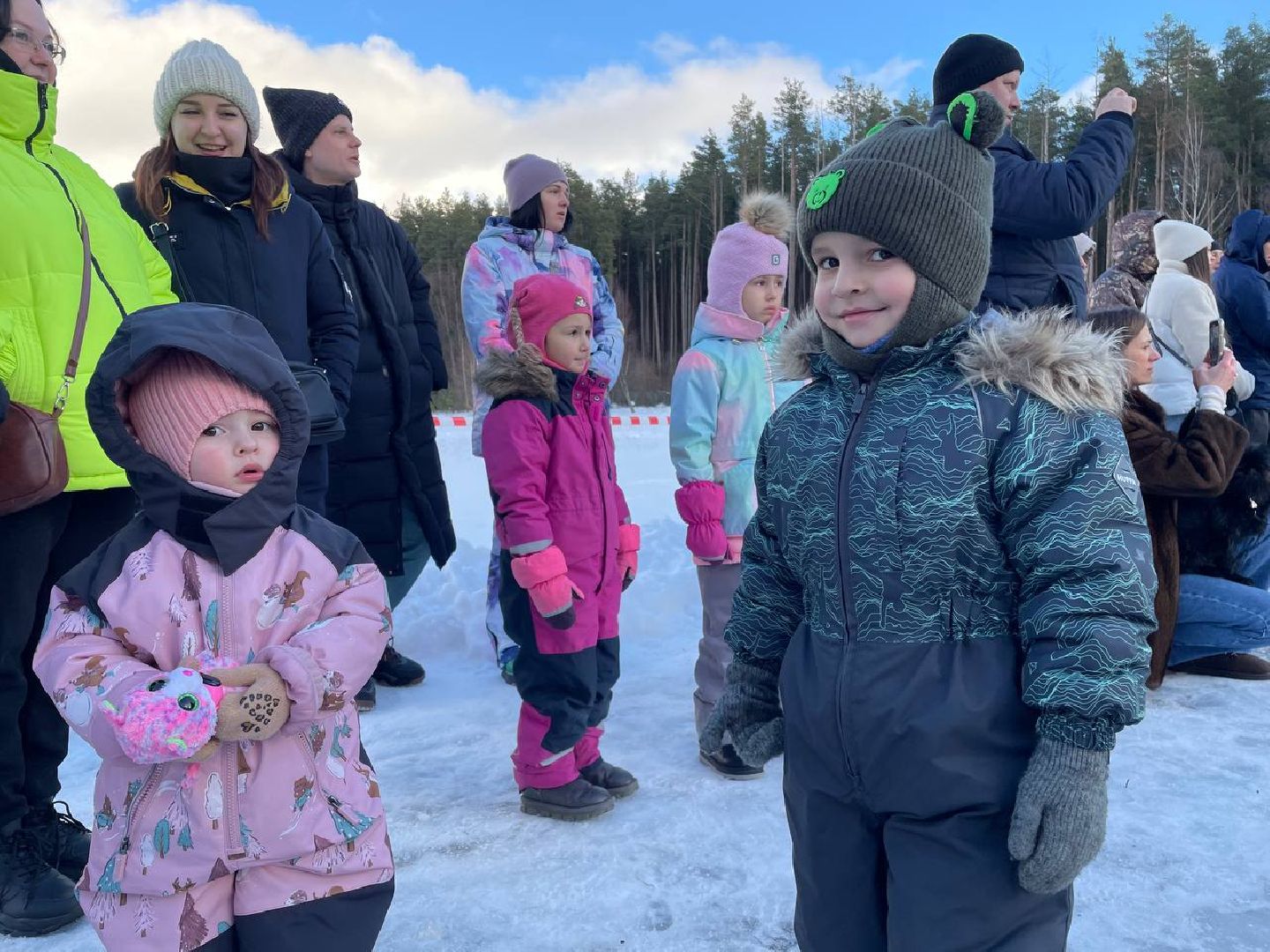 Дмитров, Госветстанция, Минсельхоз, вертикали