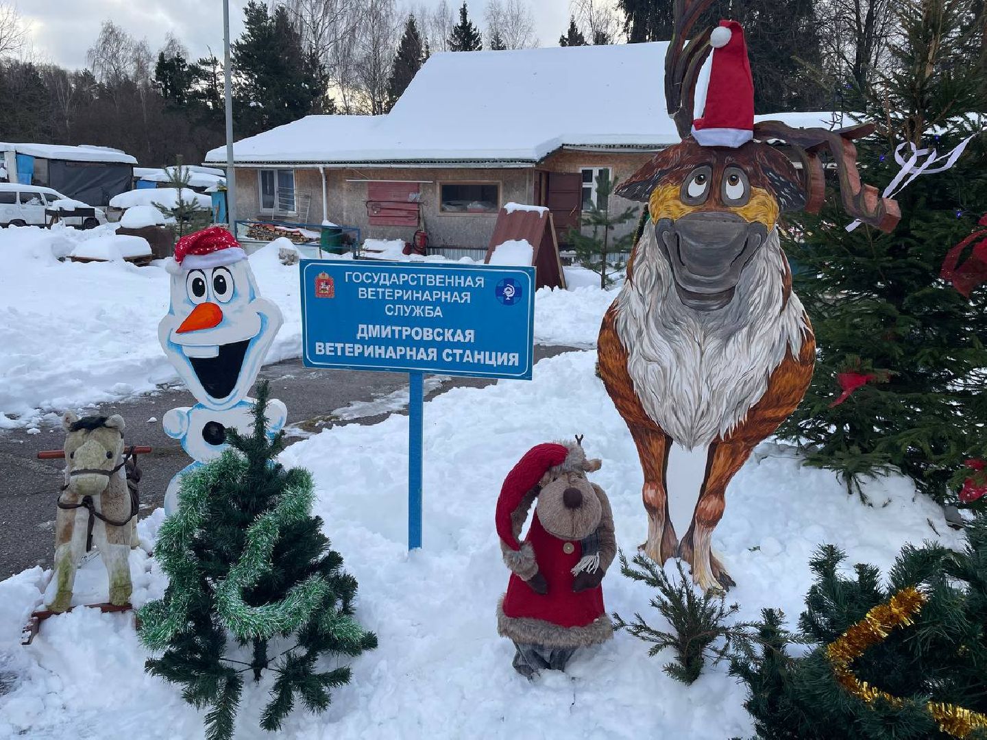 Дмитров, Госветстанция, Минсельхоз, вертикали