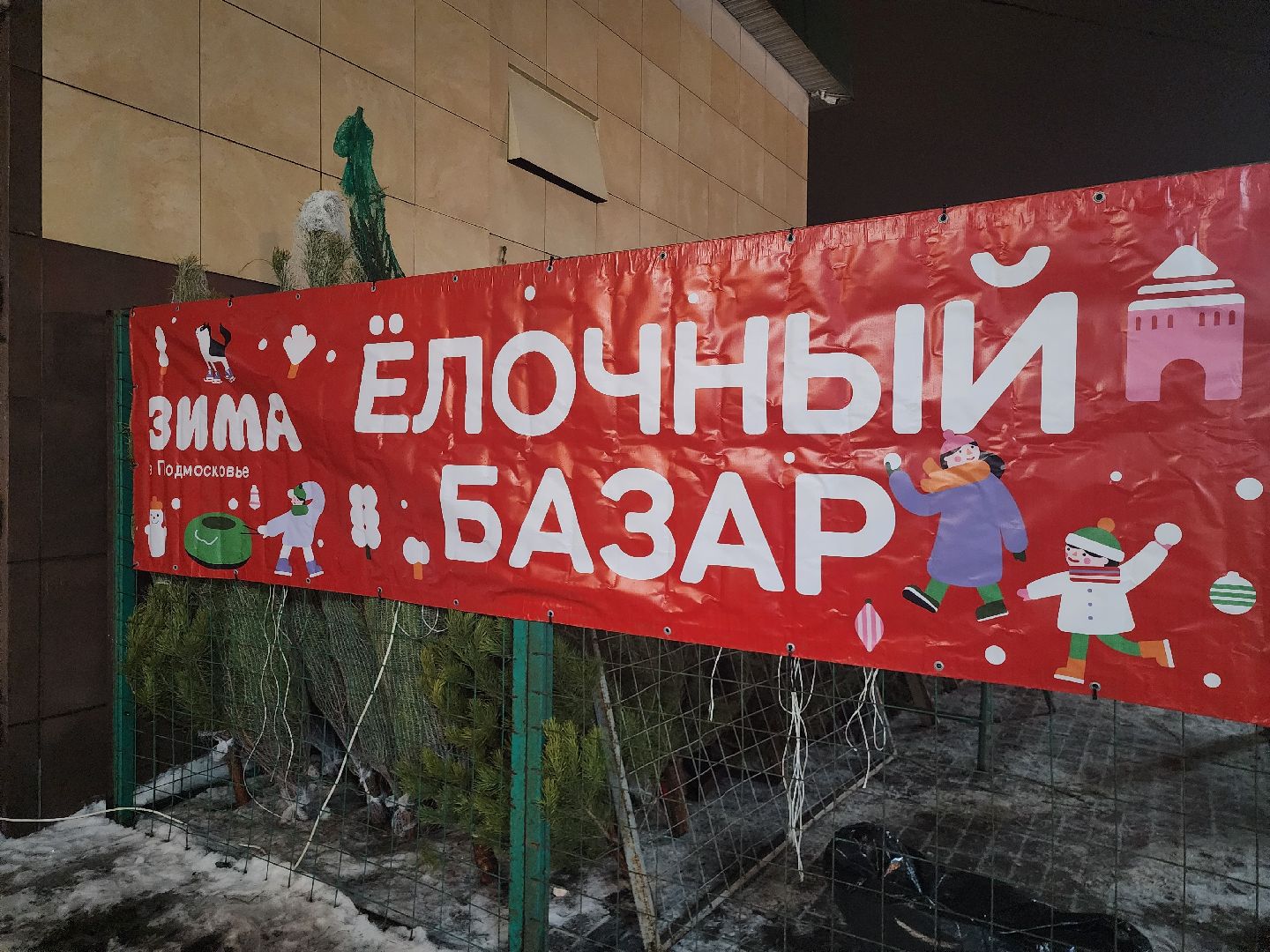 Коломна, елочный базар, новогодняя елка, зима в подмосковье,