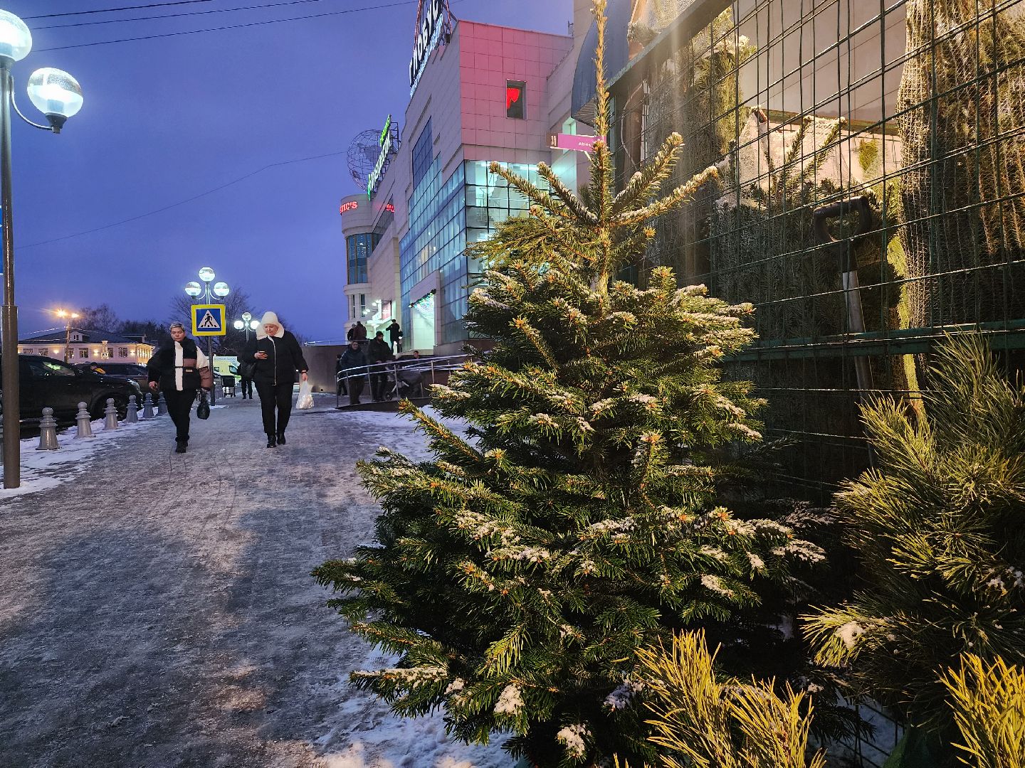Коломна, елочный базар, новогодняя елка, зима в подмосковье,