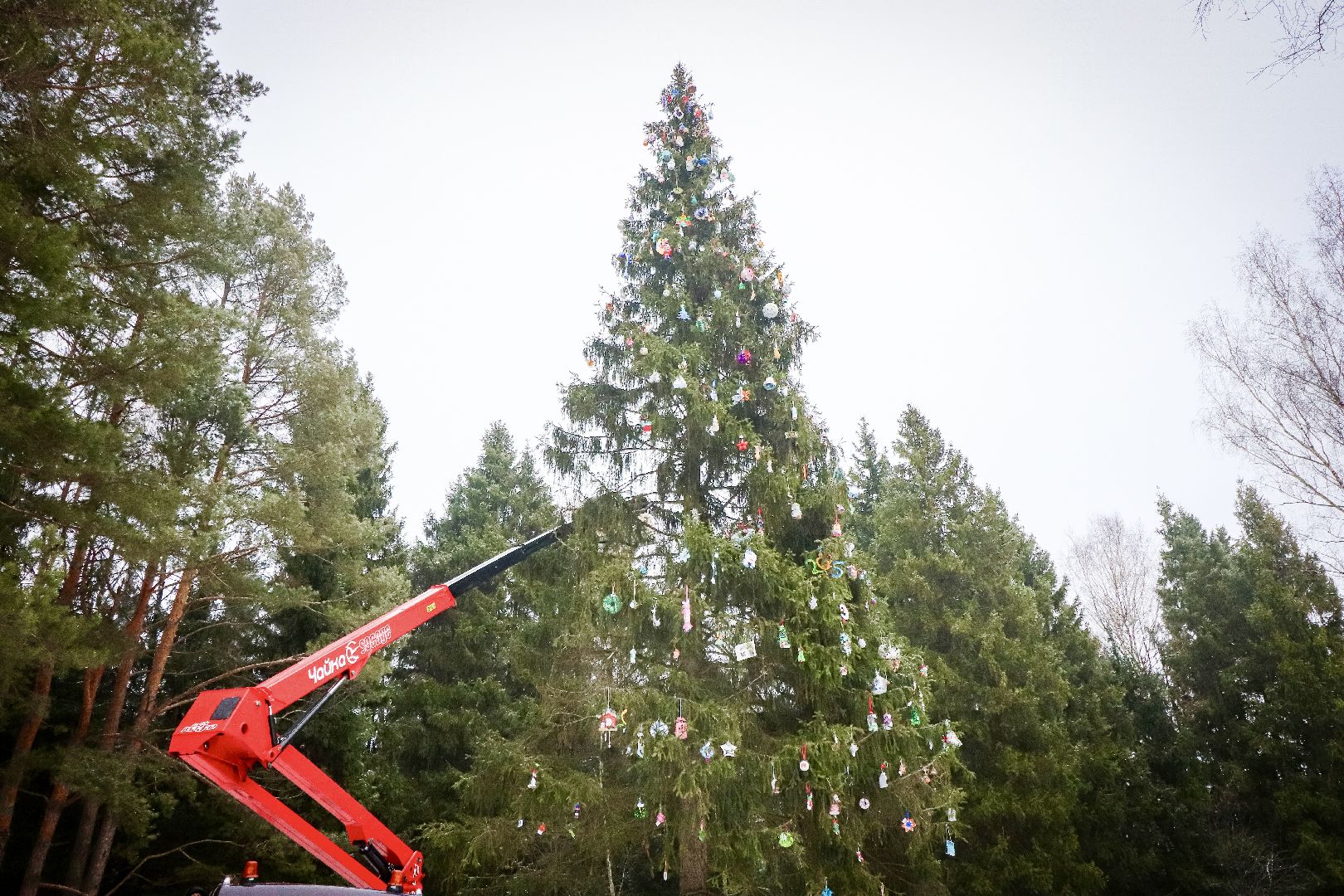 Клин, общество, образование, зима в подмосковье, вертикалки,