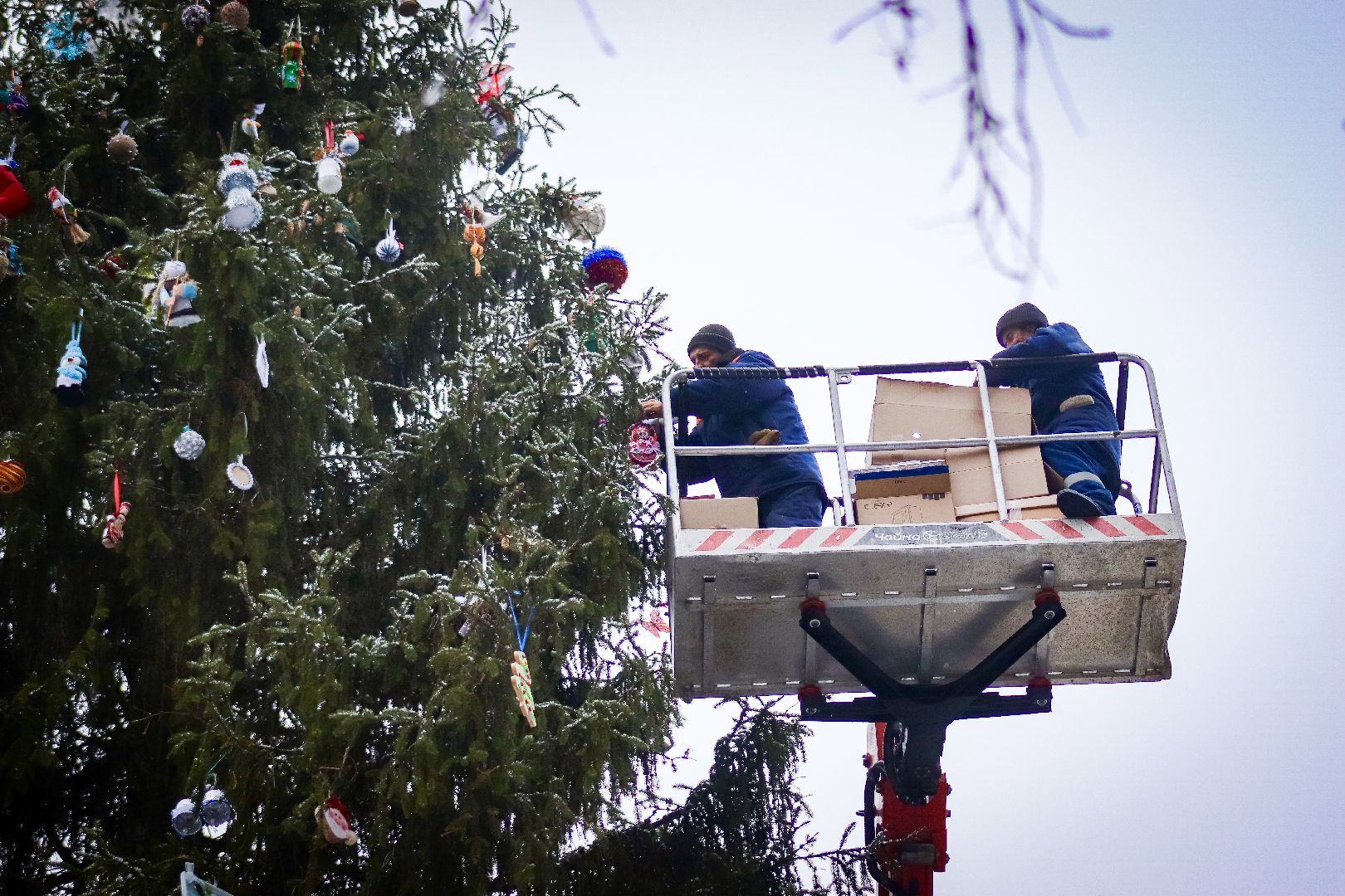 Клин, общество, образование, зима в подмосковье, вертикалки,