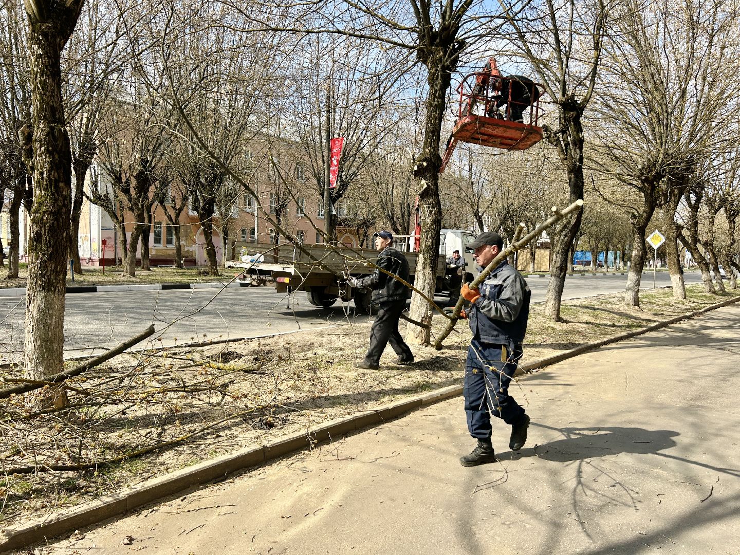 Благоустройство, Фрязино, сухостой, опиловка