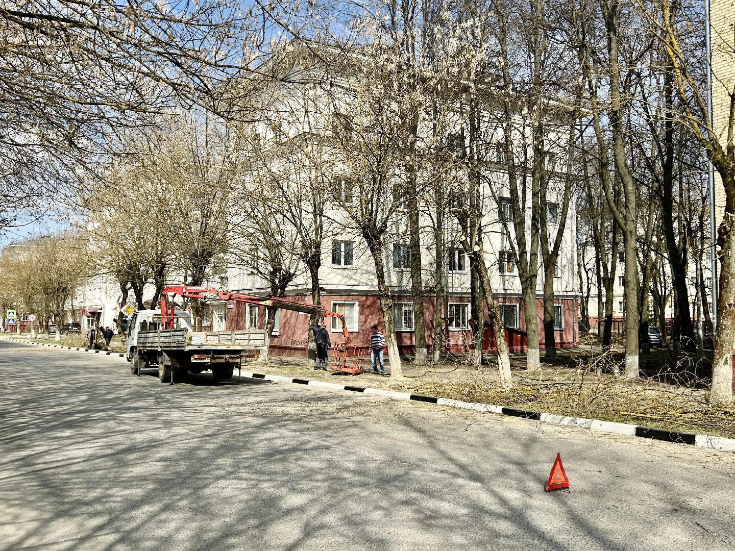 Благоустройство, Фрязино, сухостой, опиловка