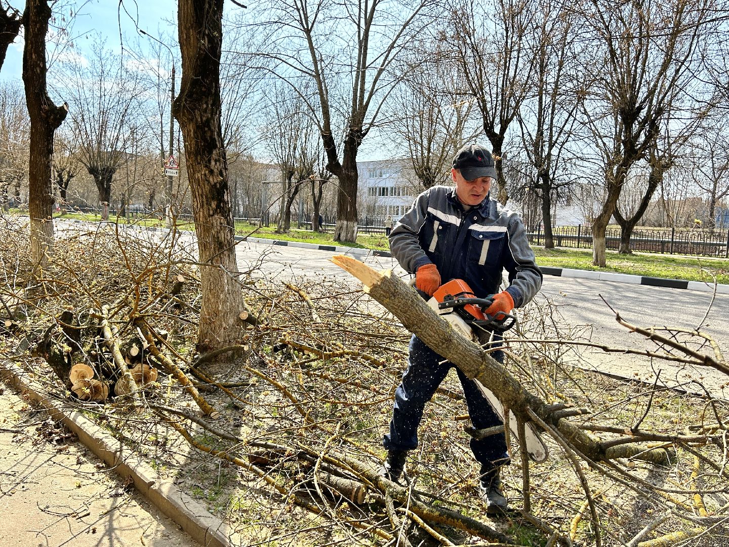 Благоустройство, Фрязино, сухостой, опиловка