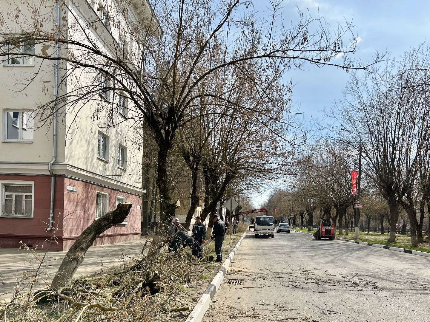 Благоустройство, Фрязино, сухостой, опиловка
