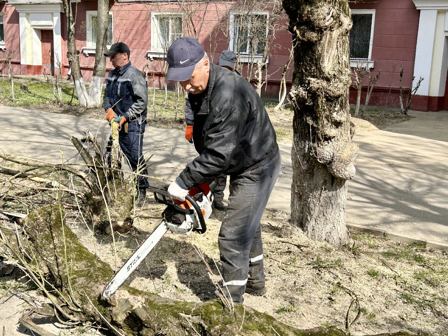 Благоустройство, Фрязино, сухостой, опиловка