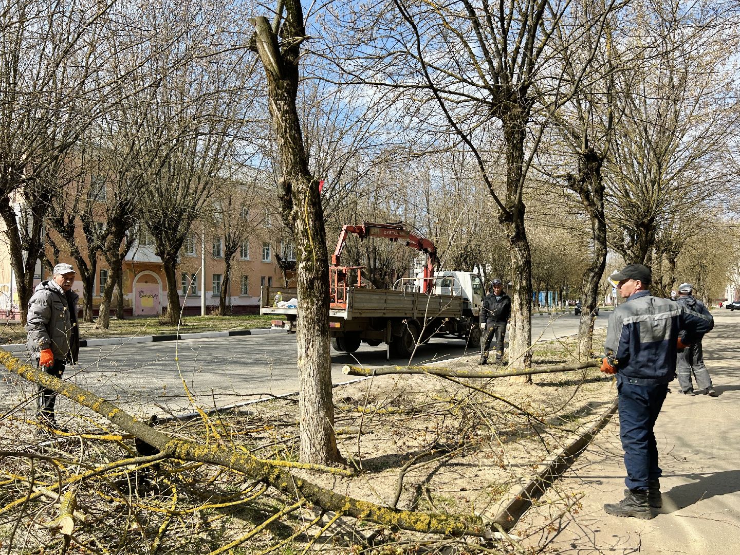 Благоустройство, Фрязино, сухостой, опиловка