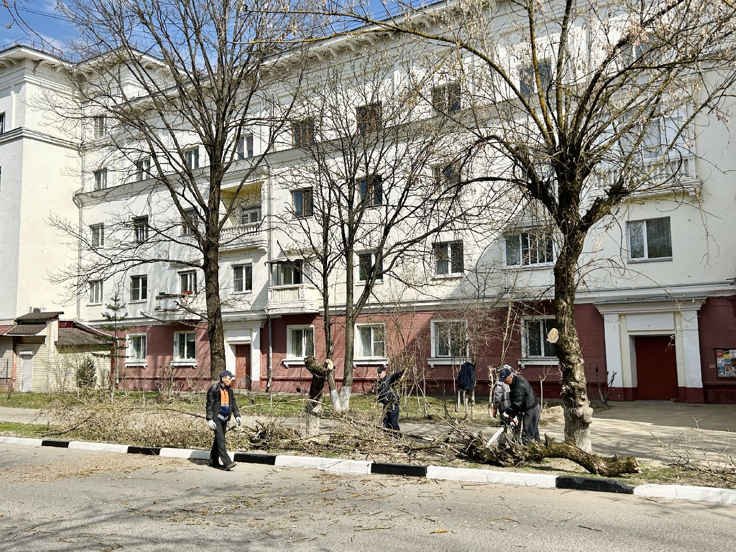 Благоустройство, Фрязино, сухостой, опиловка