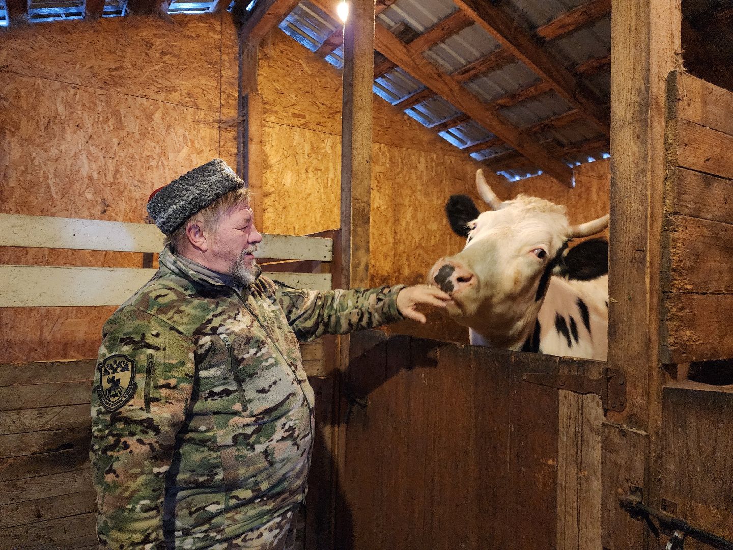 ногинск, богородский округ, сыроварня, ферма, производство сыра, общество, жители, вертикалки,