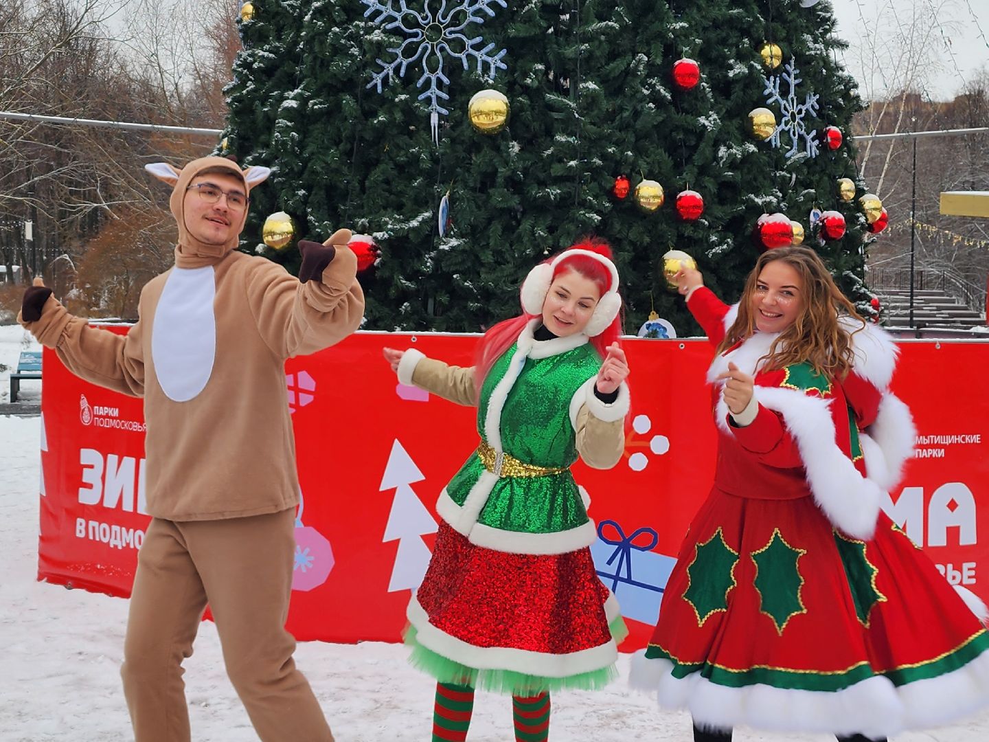 вертикалки, почта деда мороза, письма деду морозу, мытищи,