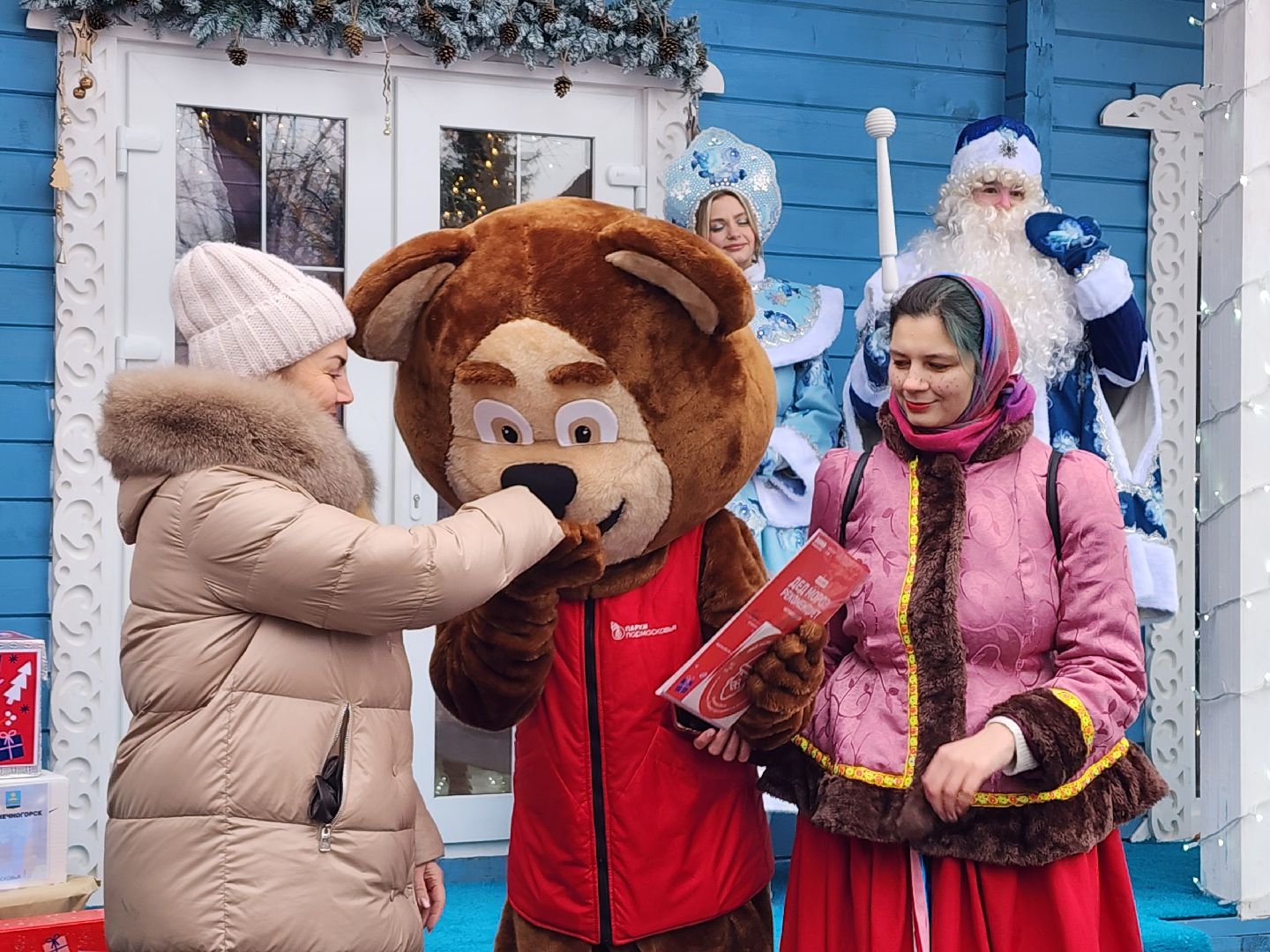 вертикалки, почта деда мороза, письма деду морозу, мытищи,