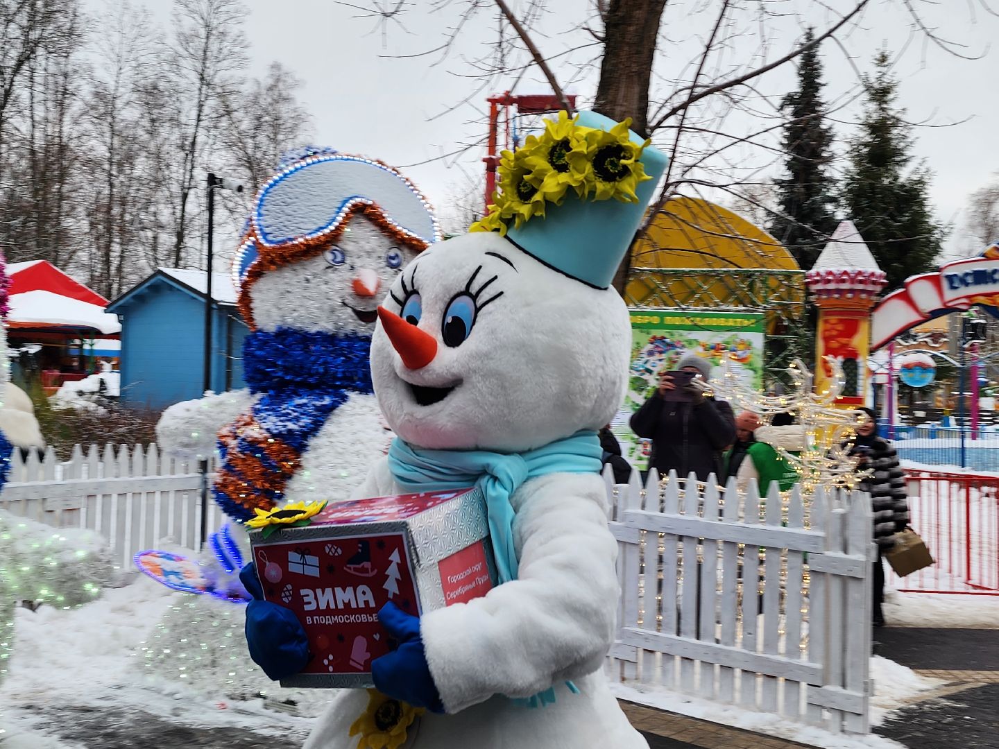 вертикалки, почта деда мороза, письма деду морозу, мытищи,