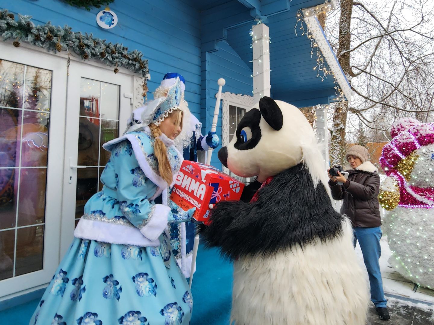 вертикалки, почта деда мороза, письма деду морозу, мытищи,