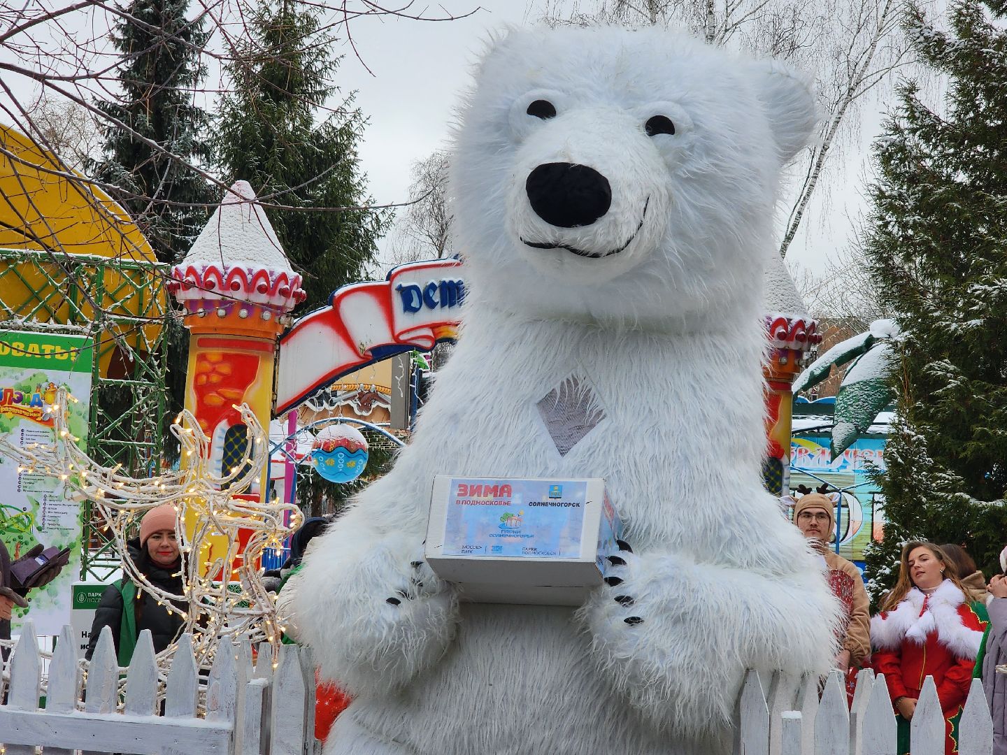 вертикалки, почта деда мороза, письма деду морозу, мытищи,