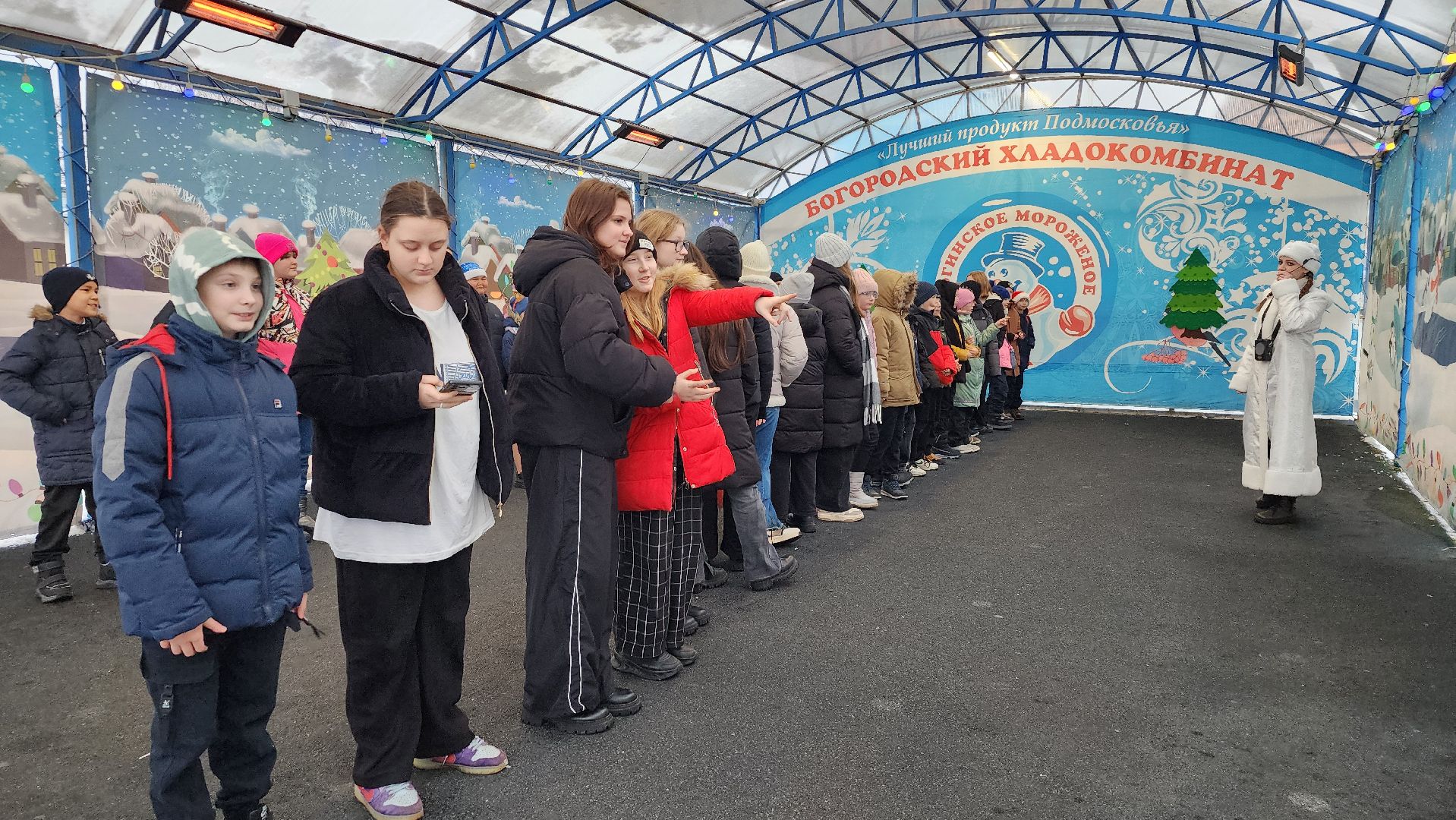 Богородский хладокомбинат, ногинское мороженое, фабрика мороженого, Ногинск, Богородский городской округ, вертикалки