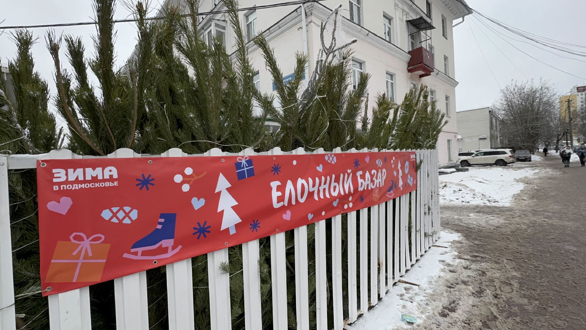 Солнечногорск, Елки, елочный базар, жители, вертикалки,