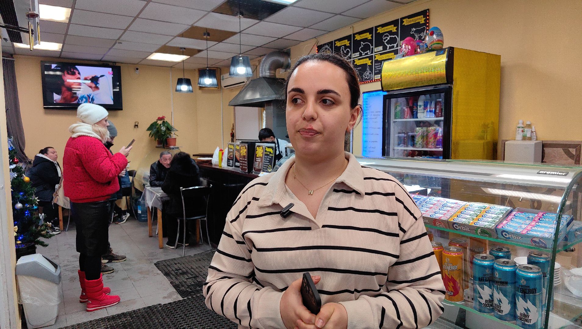 шаурма, хот-дог, гост, требования, виды мяса, соус, рецепт, вертикалки