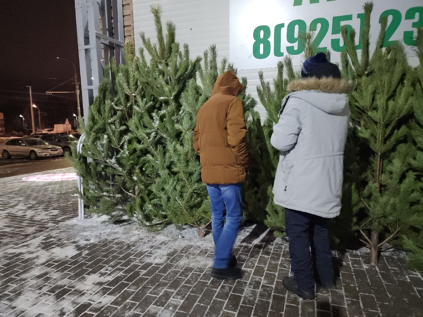 Подольск, Новый год, Елочный базар, Новогодняя елка,