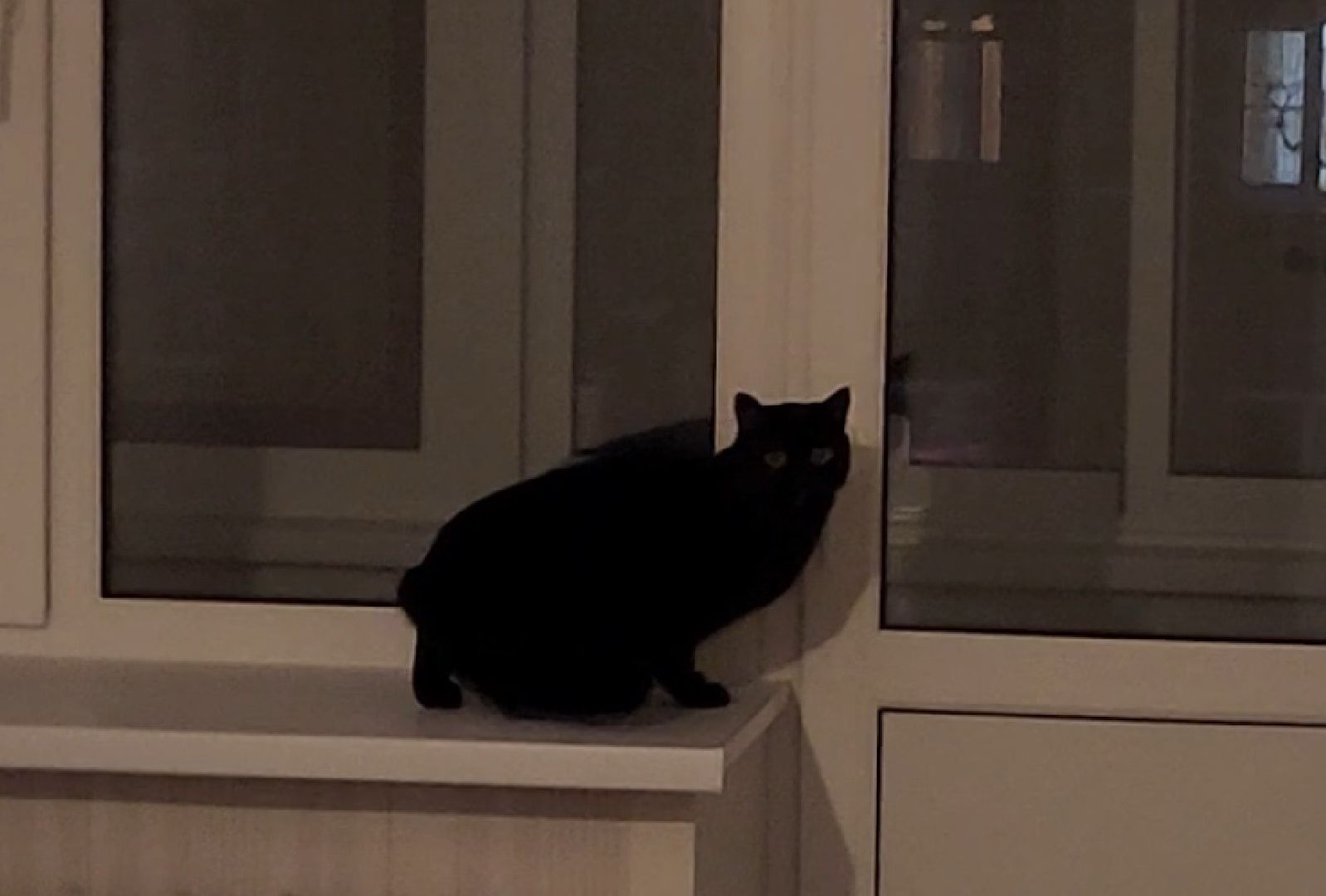 Бронницы, Ключи от квартиры, Переселенияюе из аварийного жилья, В новый год в новую квартиру, Вертикалка, Вертикальное видео,