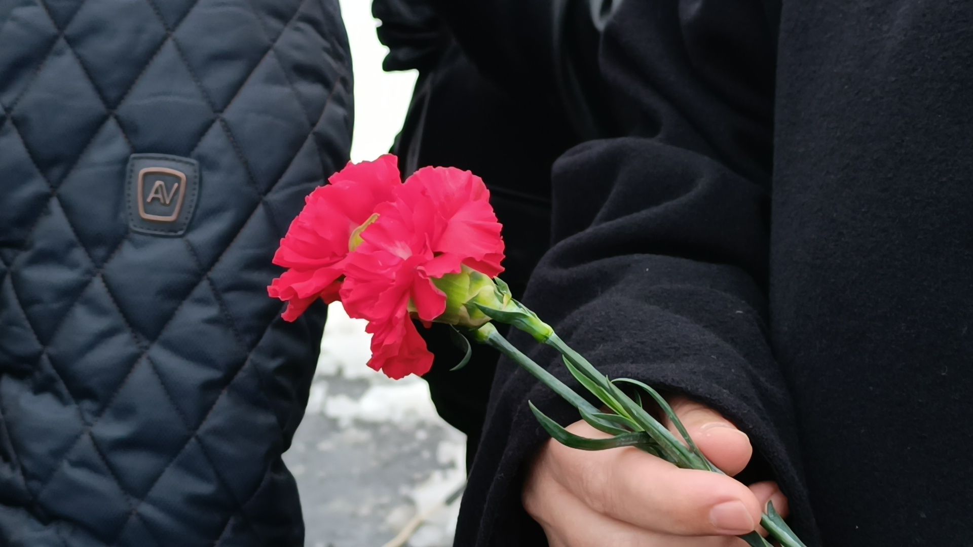 лобня, митинг, афганистан,