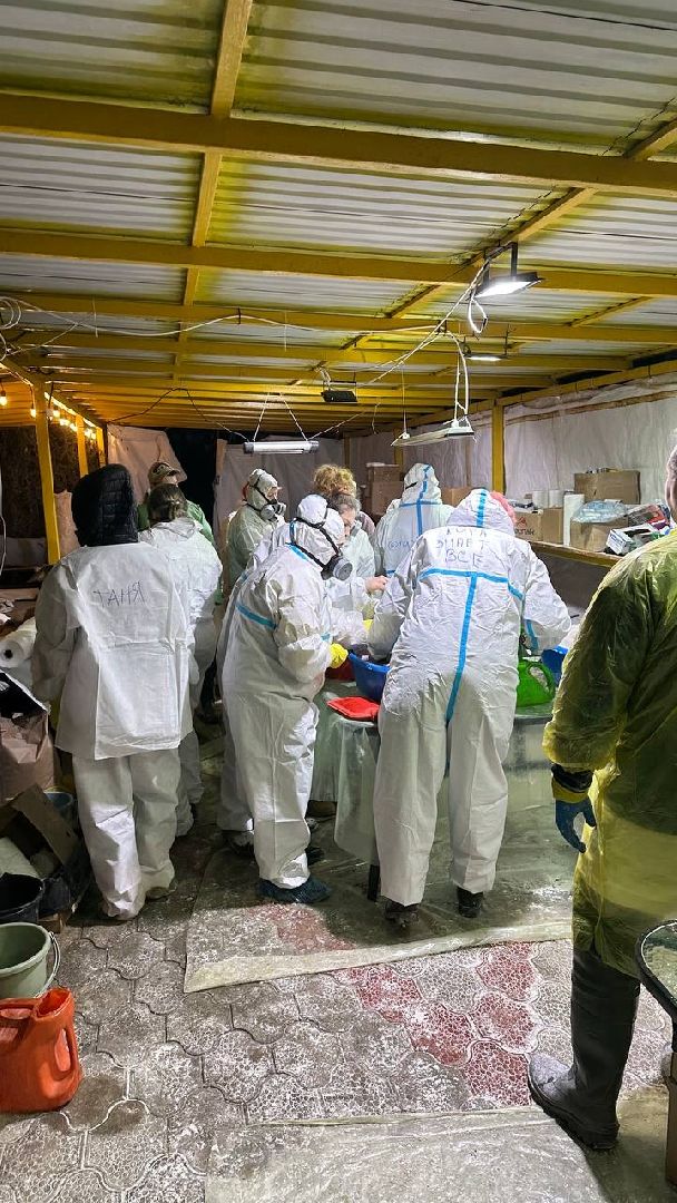 эксклюзив, экология, ЧП, общество, волонтеры подмосковья, очистка пляжей Анапы, Борьба с мазутом,