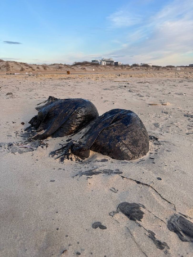 эксклюзив, экология, ЧП, общество, волонтеры подмосковья, очистка пляжей Анапы, Борьба с мазутом,