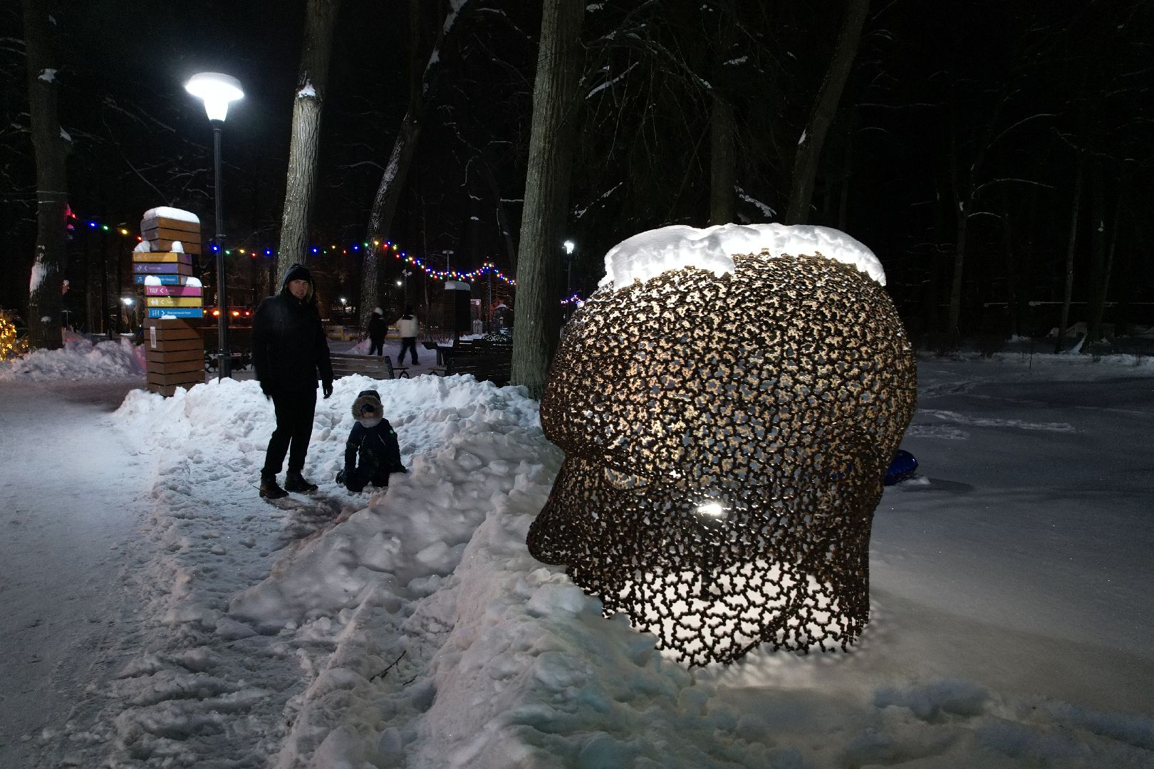 видео с коптера, каток, зима в подмосковье,