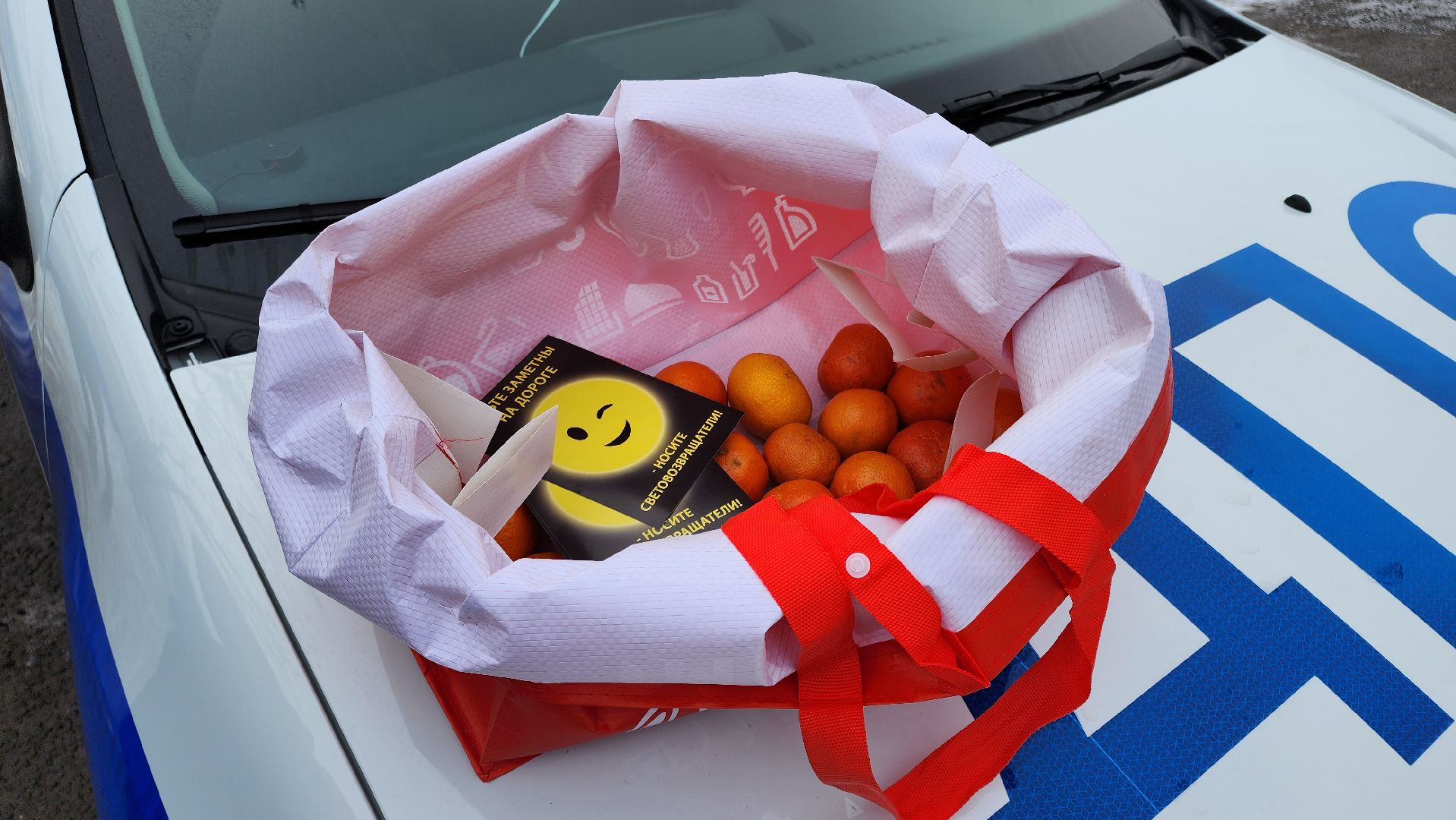 кашира, юид, госавтоинспекция, новогодняя акция, вертикалки,