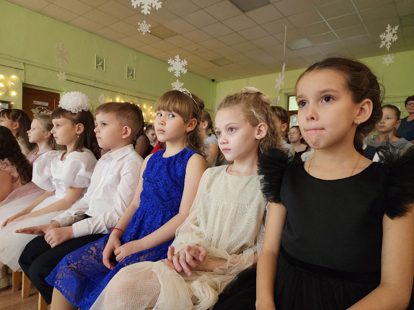 Луховицы, елка, Подмосковье,