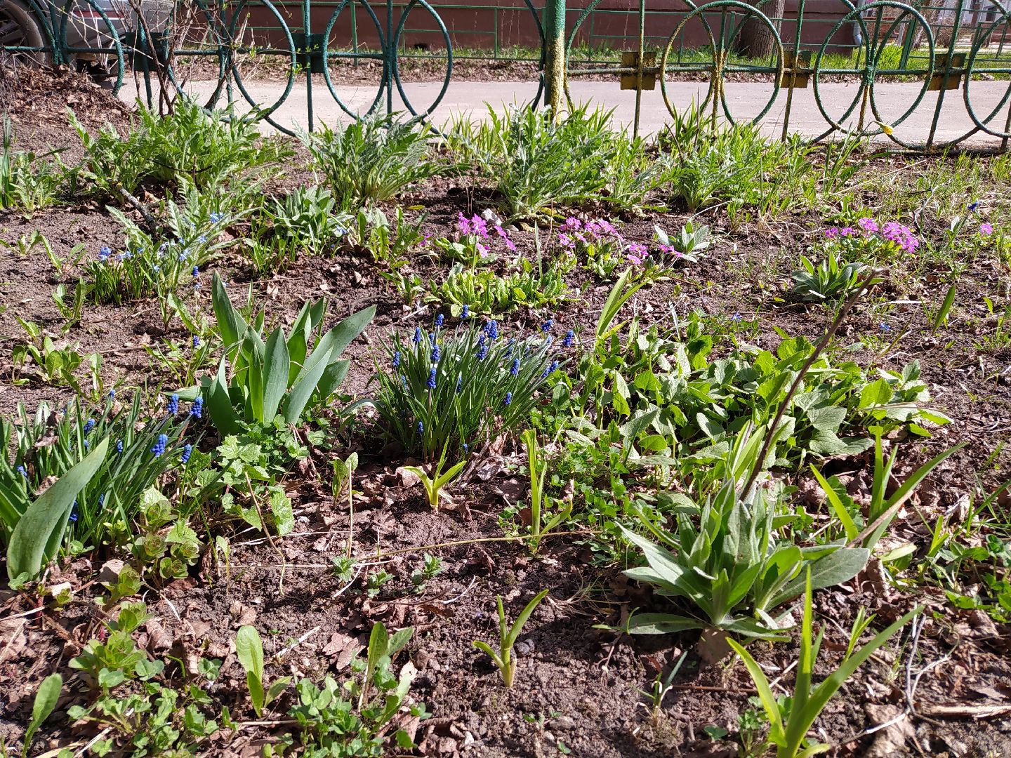 Благоустройство, уборка, месячник, листва