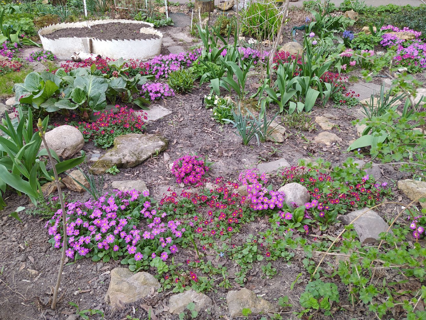 Благоустройство, уборка, месячник, листва