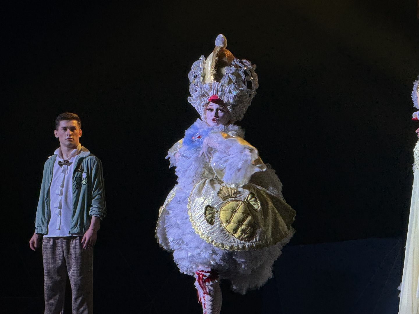 елка главы, спектакль, Театр танца Аллы духовой, Тодес, Жители Ленинского округа,