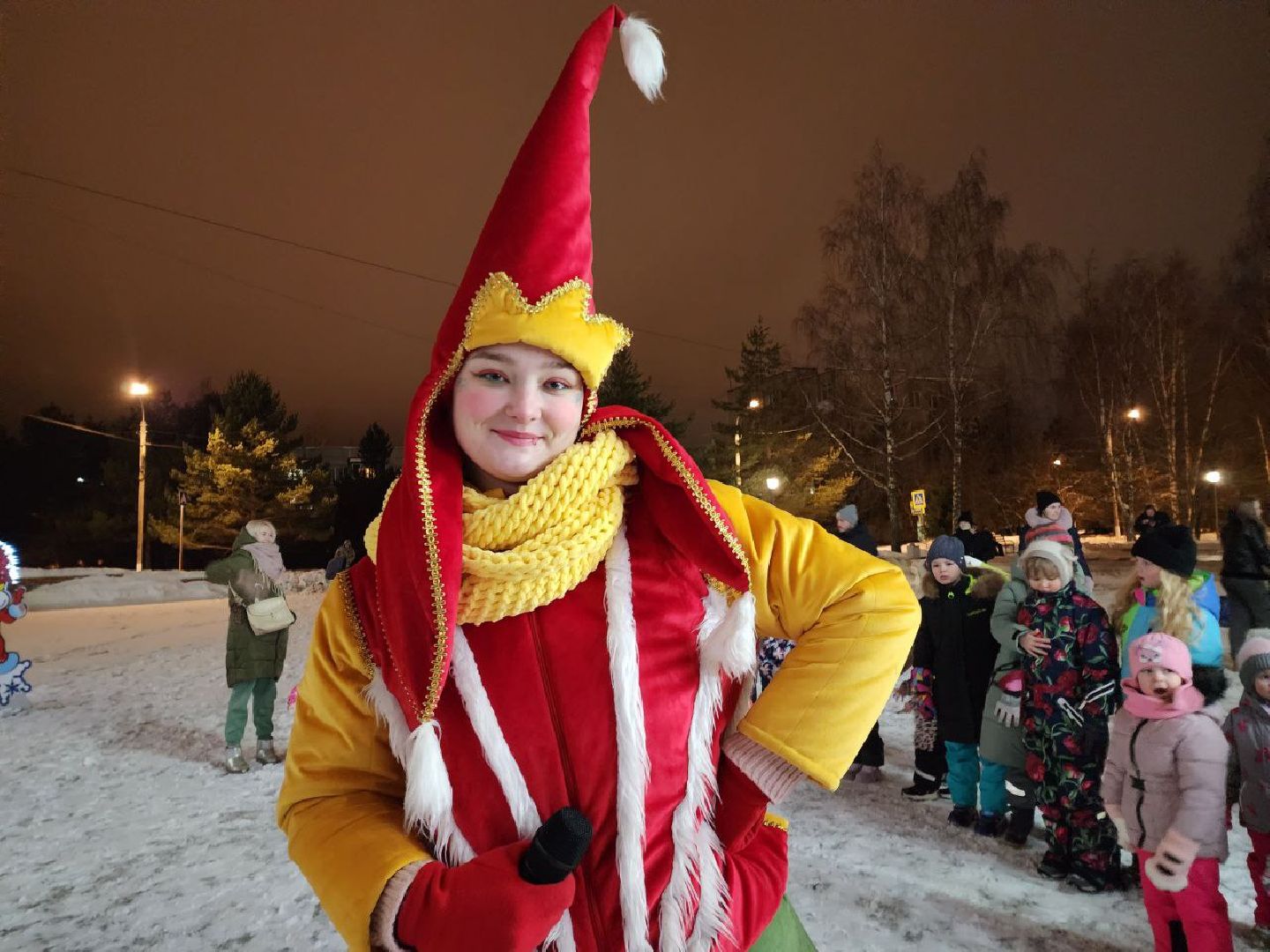 Солнечногорск, Праздник, Новый год, Дети, Жители, Вертикалки,