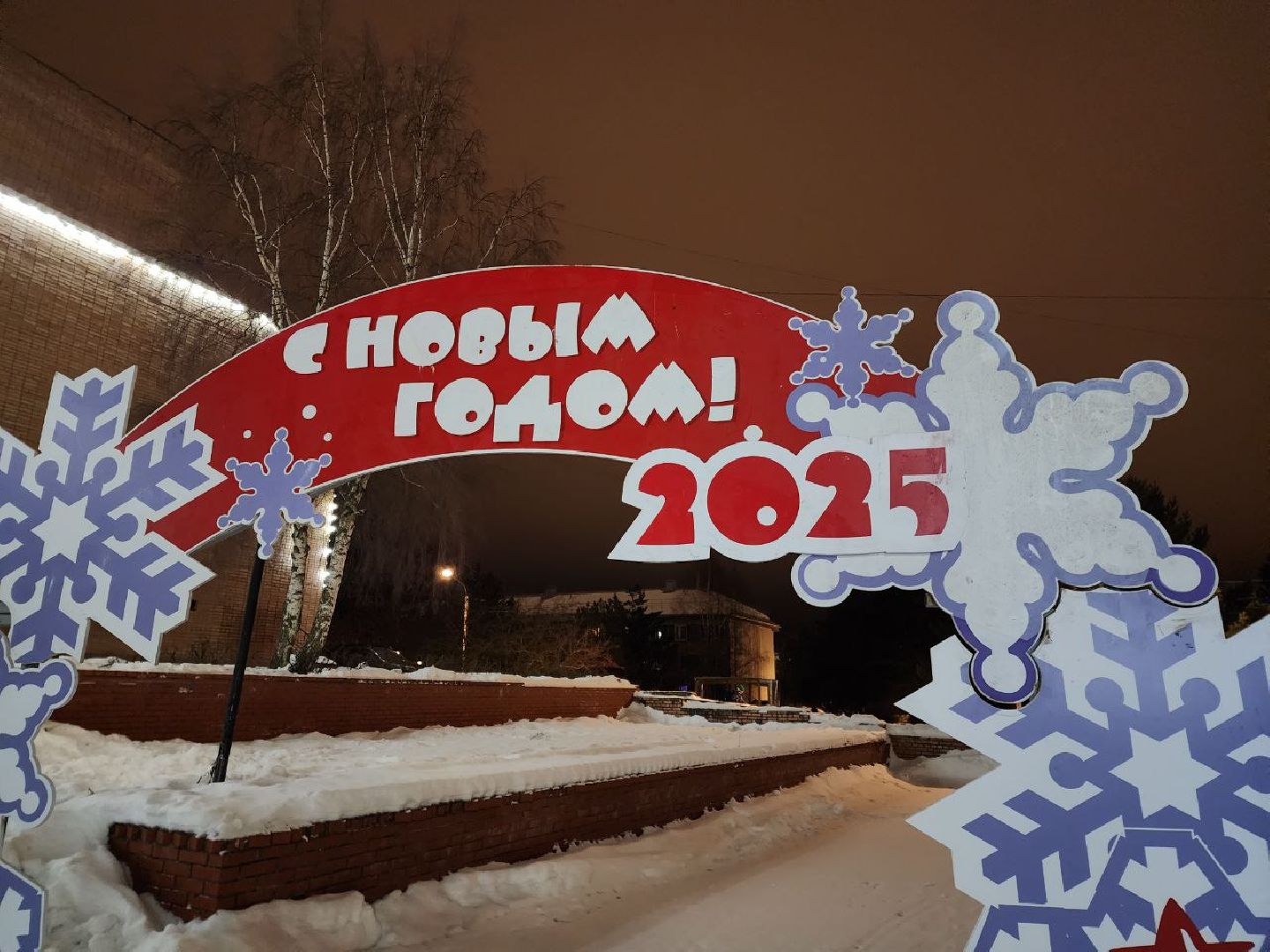 Солнечногорск, Праздник, Новый год, Дети, Жители, Вертикалки,