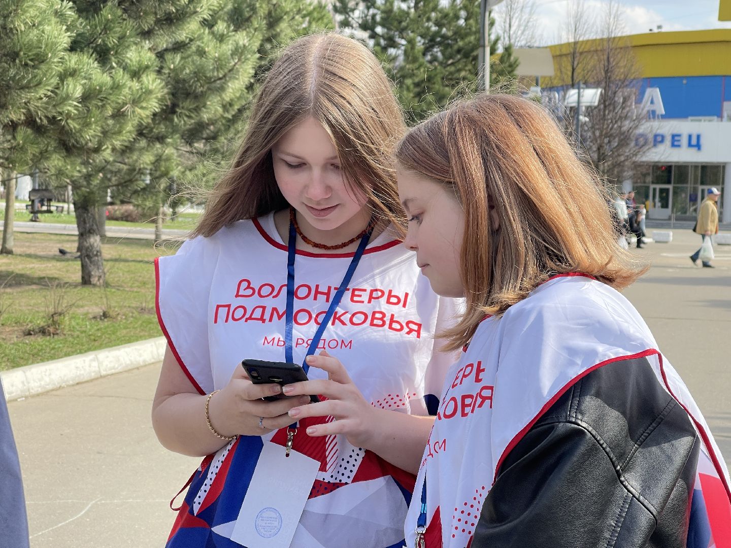 Голосование, благоустройство, Одинцово, Одинцовский округ,