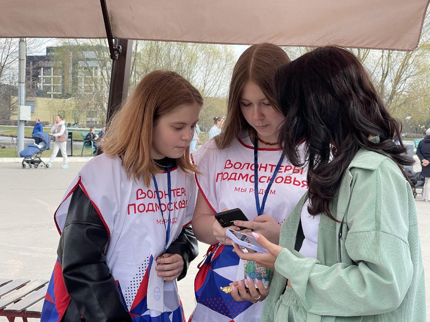 Голосование, благоустройство, Одинцово, Одинцовский округ,